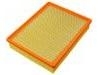 Filtro de aire Air Filter:25313348