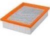 Air Filter:6E5Z-9601-GA