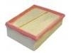 Air Filter:82 00 820 860