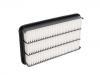 Air Filter:17801-03010